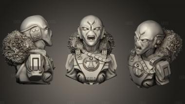 Commander Snowmane Bust And Heads stl model for CNC