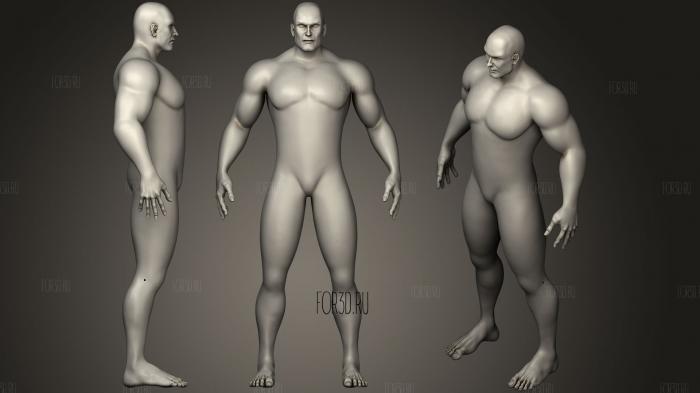 Muscular Male Anatomy 2 3d stl for CNC