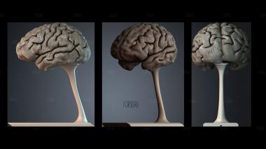STKPR_10548 stl model for CNC