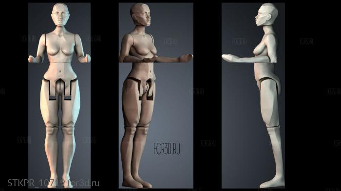 STKPR_10719 3d stl for CNC