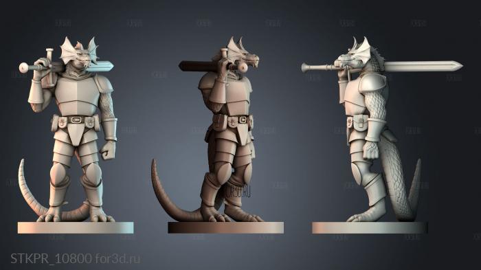 STKPR_10800 3d stl for CNC