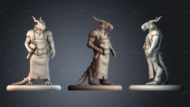 STKPR_11052 stl model for CNC