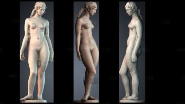 STKPR_11197 stl model for CNC