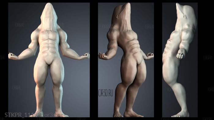 STKPR_11198 3d stl for CNC