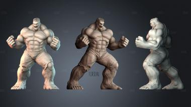 STKPR_11217 stl model for CNC