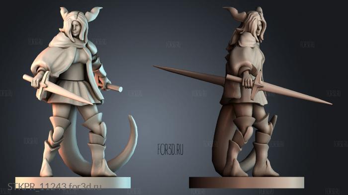 STKPR_11243 3d stl for CNC