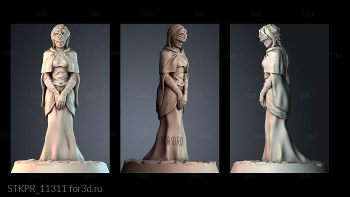STKPR_11311 3d stl for CNC