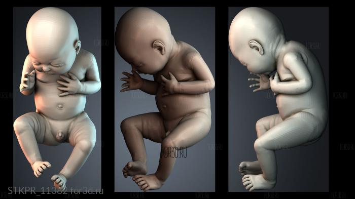 STKPR_11382 3d stl модель для ЧПУ