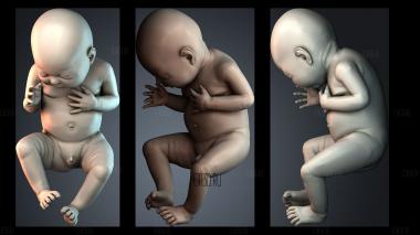 STKPR_11382 stl model for CNC