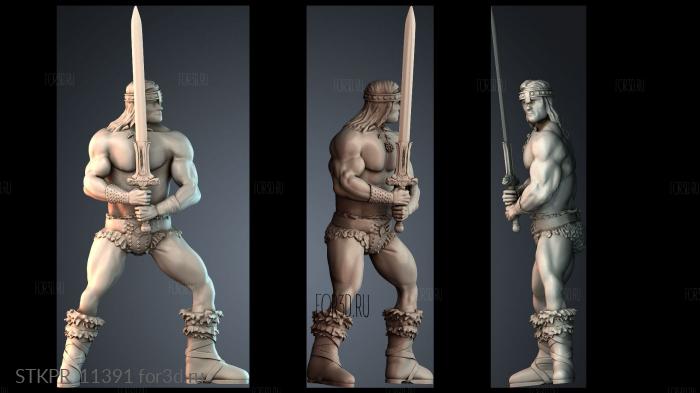 STKPR_11391 3d stl модель для ЧПУ