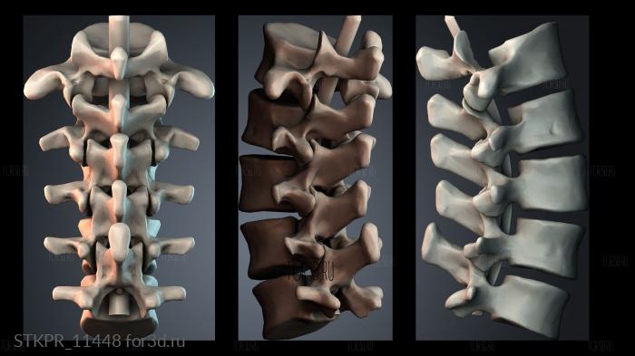 STKPR_11448 3d stl модель для ЧПУ