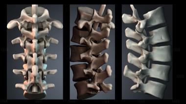 STKPR_11448 stl model for CNC
