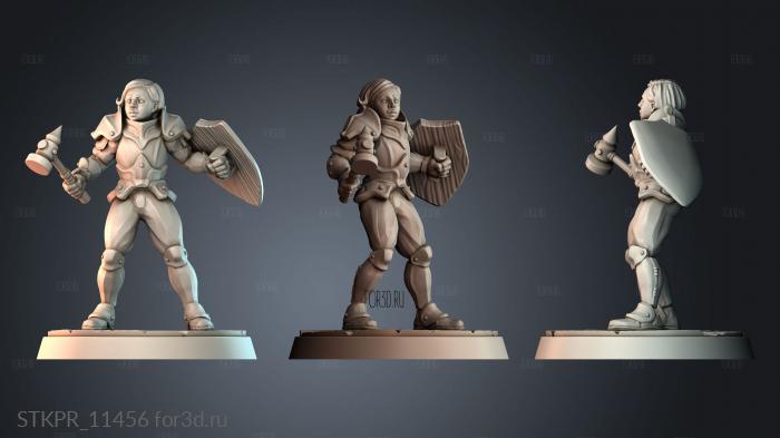 STKPR_11456 3d stl модель для ЧПУ