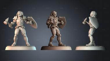 STKPR_11456 stl model for CNC