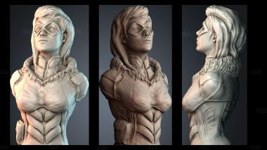 STKPR_11491 stl model for CNC