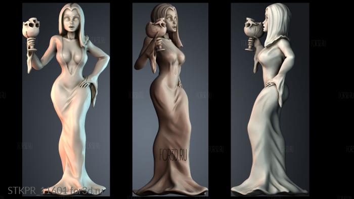 STKPR_11601 3d stl for CNC