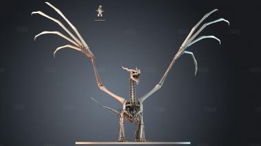 STKPR_11736 stl model for CNC