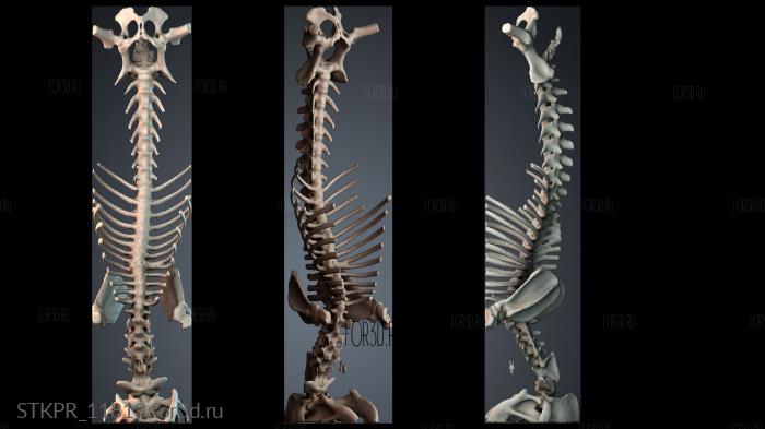 STKPR_11813 3d stl модель для ЧПУ