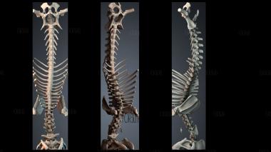 STKPR_11813 stl model for CNC