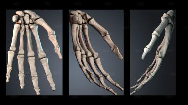 STKPR_11878 stl model for CNC