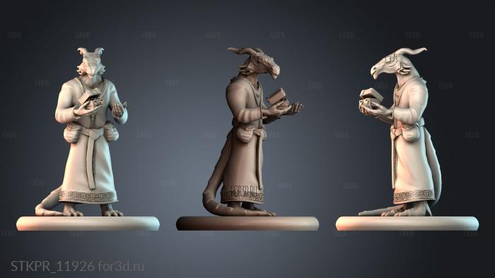STKPR_11926 3d stl for CNC