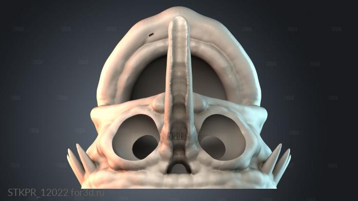 STKPR_12022 3d stl for CNC