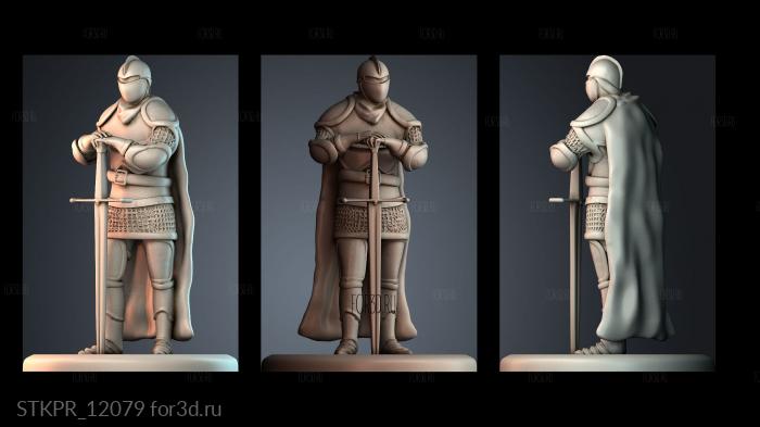 STKPR_12079 3d stl for CNC