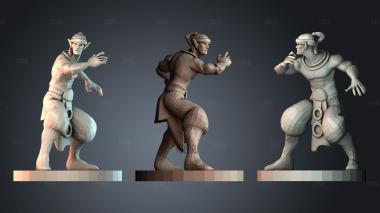 STKPR_12102 stl model for CNC