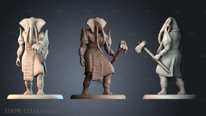 STKPR_12116 3d stl for CNC