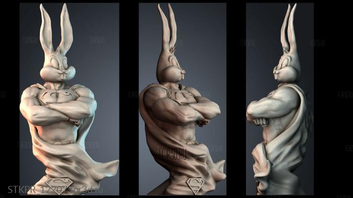 STKPR_12207 3d stl for CNC