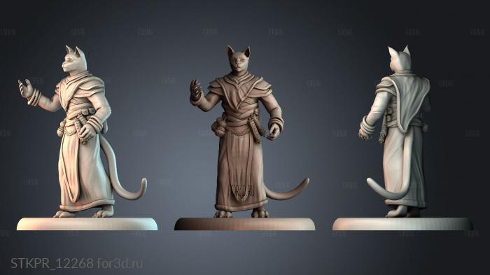 STKPR_12268 3d stl модель для ЧПУ