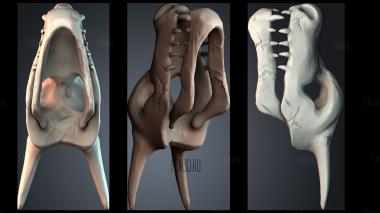 STKPR_12356 stl model for CNC