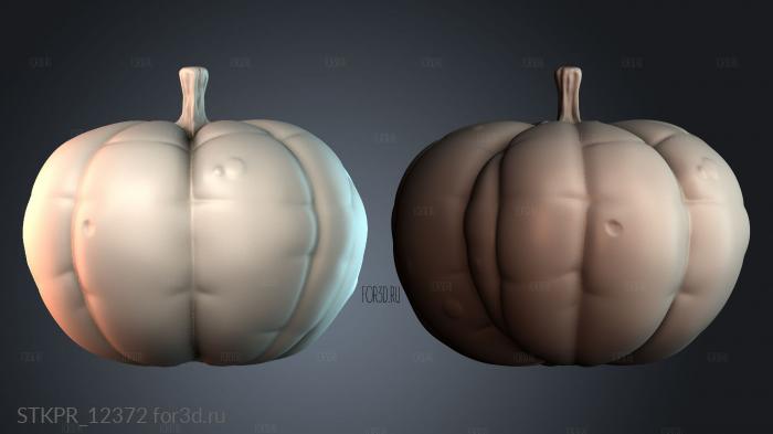 STKPR_12372 3d stl модель для ЧПУ