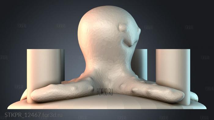 STKPR_12467 3d stl for CNC