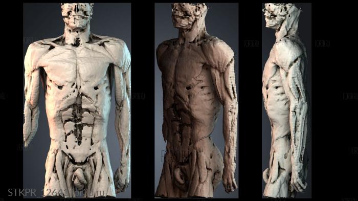 STKPR_12641 3d stl модель для ЧПУ