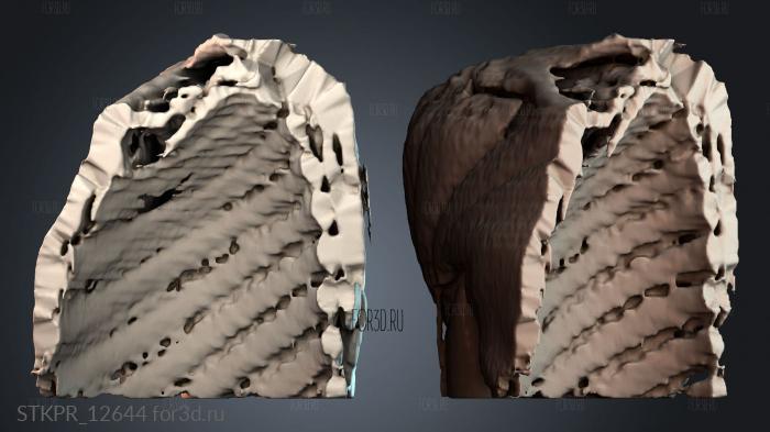STKPR_12644 3d stl модель для ЧПУ