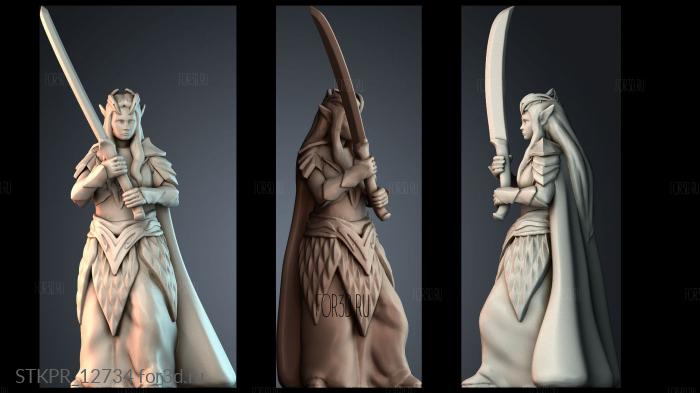 STKPR_12734 3d stl модель для ЧПУ