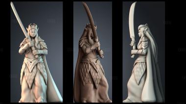 STKPR_12734 stl model for CNC