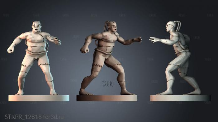 STKPR_12818 3d stl модель для ЧПУ