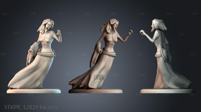 STKPR_12829 3d stl for CNC