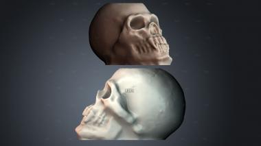 STKPR_12862 stl model for CNC