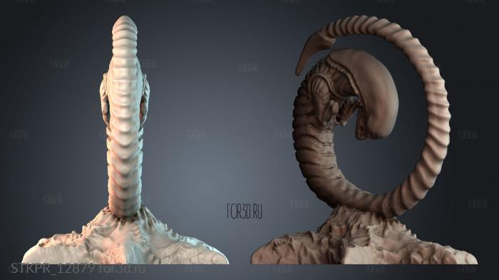 STKPR_12879 3d stl for CNC