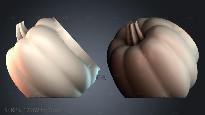 STKPR_12969 3d stl for CNC