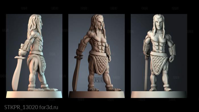 STKPR_13020 3d stl for CNC
