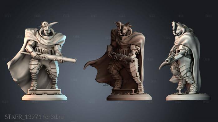 STKPR_13271 3d stl for CNC