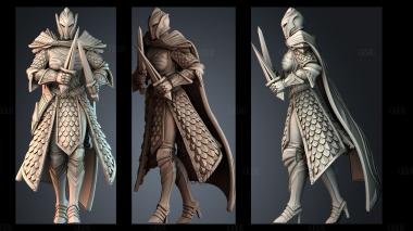 STKPR_13273 stl model for CNC