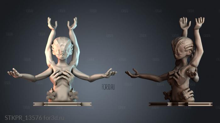 STKPR_13576 3d stl for CNC