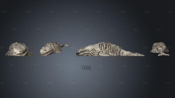 Depths of Savage Atoll KS Whale Corpse Complete 3d stl for CNC