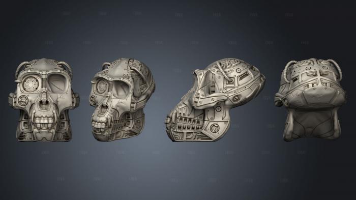 Duncans Monkey Skull 3d stl for CNC