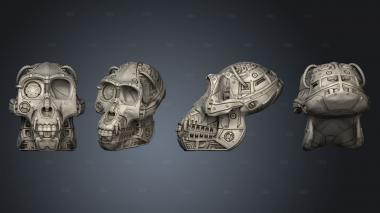 Duncans Monkey Skull stl model for CNC